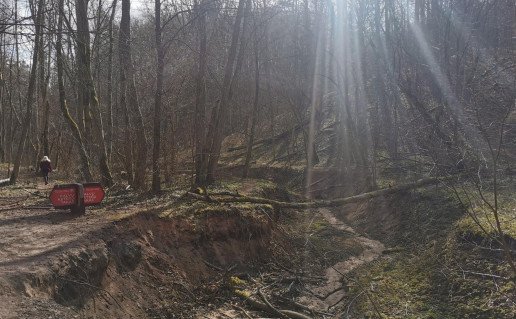 21_Karoliniškių takai (1).jpg